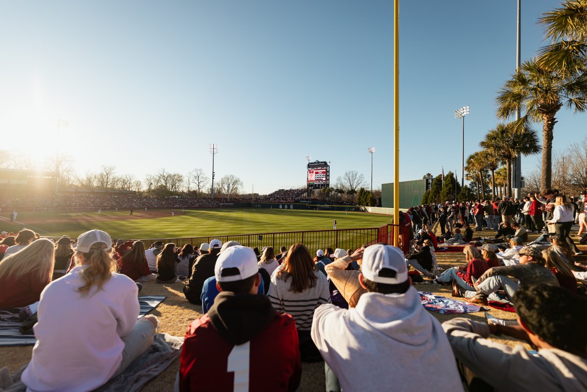 South Carolina Baseball tweet media