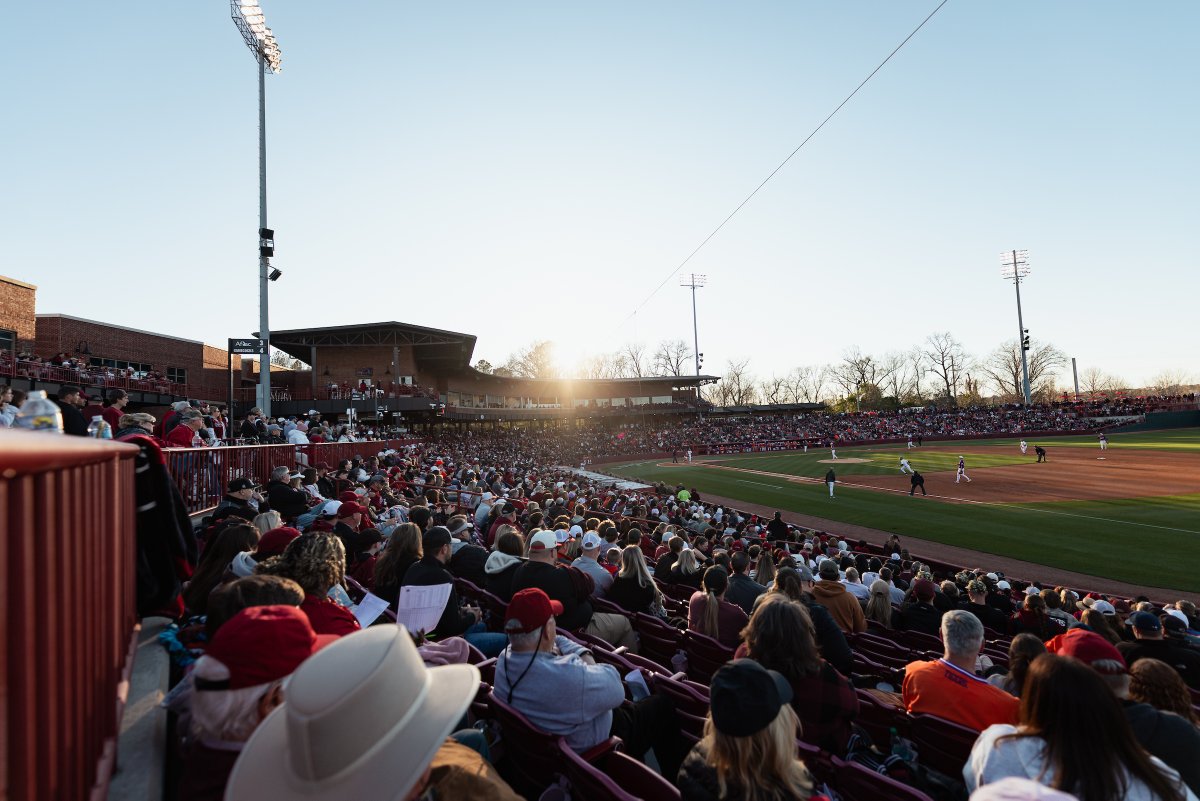 South Carolina Baseball tweet media