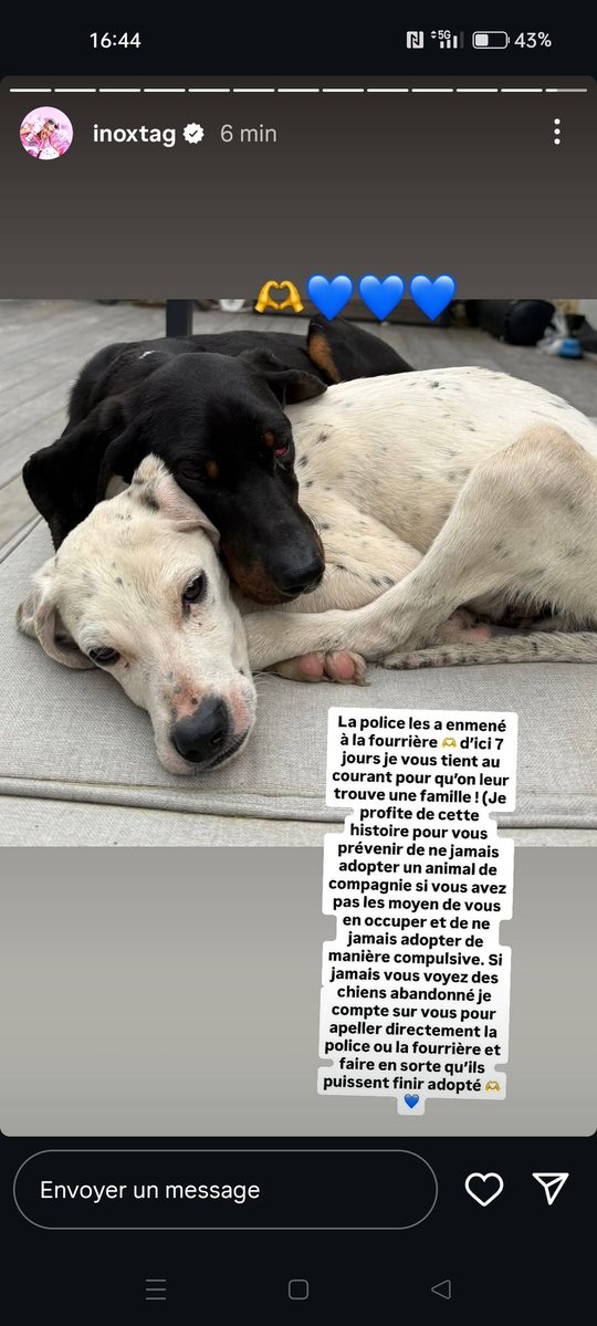 aymeric288 tweet media