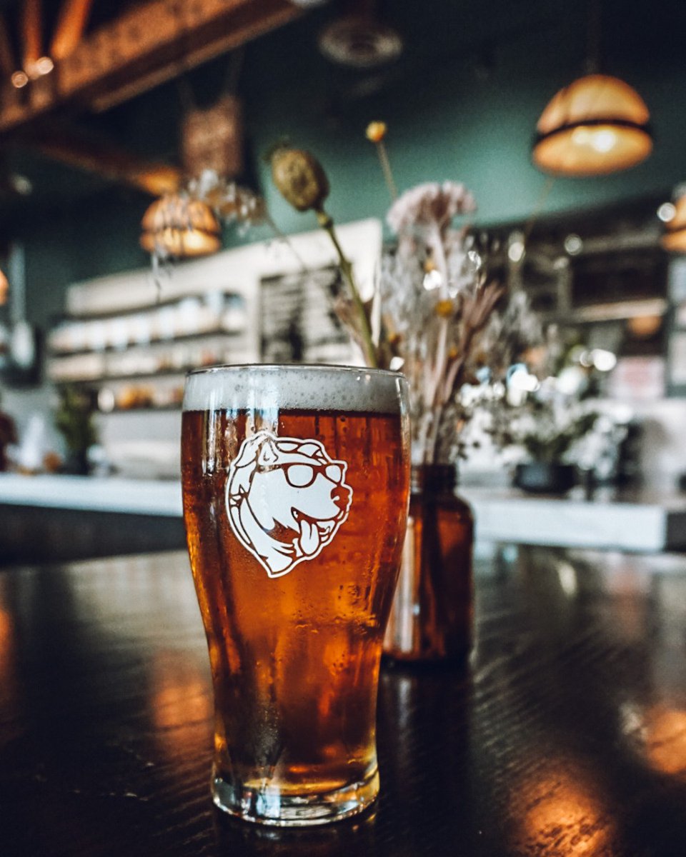 tumanstap's tweet image. Now on draft: Midwest Coast Chirp Worthy. Designed as a "chirp worthy" session beer. American Pale Ale brewed with English pale malt, golden oats, Citrus/Columbus hops. Clocks in at 5.3% ABV.
#chicagopatio #patiochicago  #sessionbeer #chicagobars pic: #midwestcoastbrewing