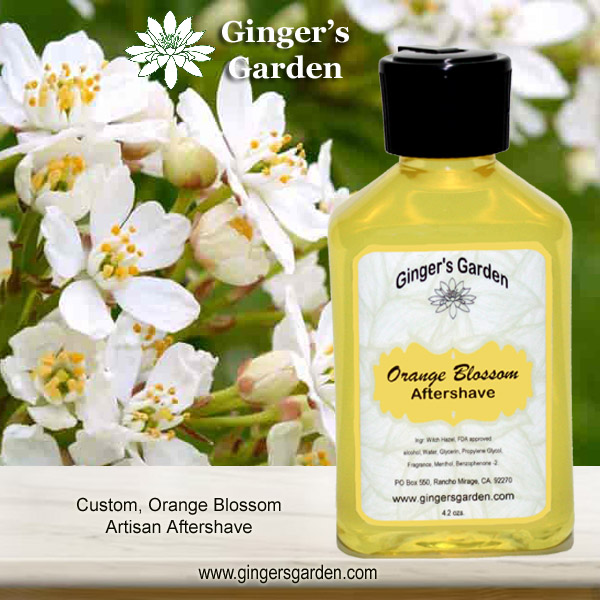 Custom Orange Blossom Artisan Aftershave has a bright and clean floral scent with strong notes of orange blossom and a distinct citrusy edge. The formula contains aloe, witch hazel, glycerin and a touch of menthol. It will soothe and cool the skin.

gingersgarden.com/gingers-garden…