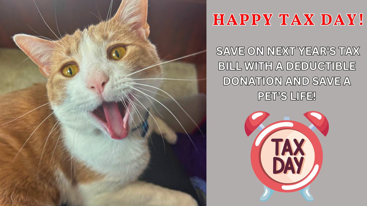 ForTheLoveAlex's tweet image. Help pets and save on taxes! 🐾💸 Donate to For the Love of Alex, a 501(c)(3) nonprofit, and deduct your gift! 🐶🐱 Read more: fortheloveofalex.org/donate #fortheloveofalex #taxes #taxday #deadline #animalwelfare #charity #donate #taxseason #taxreturn #tax #taxtime #taxrefund
