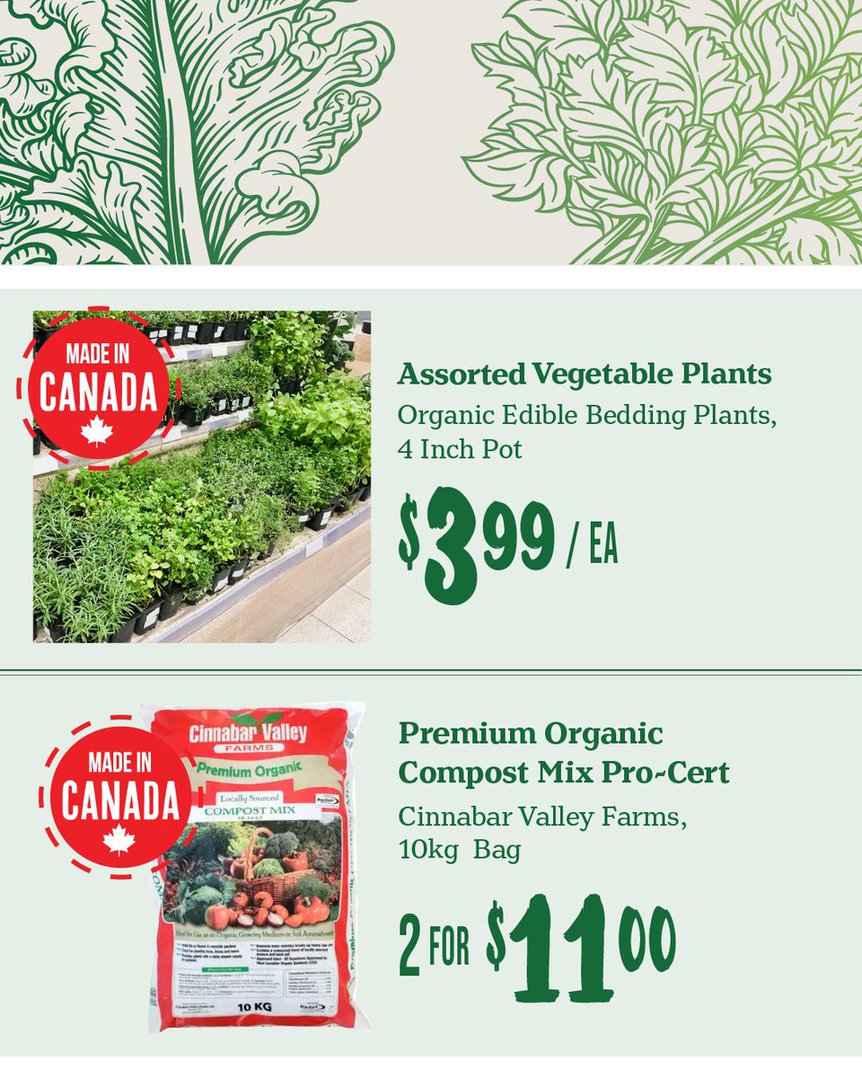 ChoicesMarket's tweet image. Get your garden growing this spring with fresh finds at Choices 🌱🌷

From April 16–22, enjoy savings on seasonal plants, soil essentials and beautiful floral accents to brighten your home and garden. 🥕

📍Find a location near you: Choices.Market/Store

#Plants #MadeInCanada