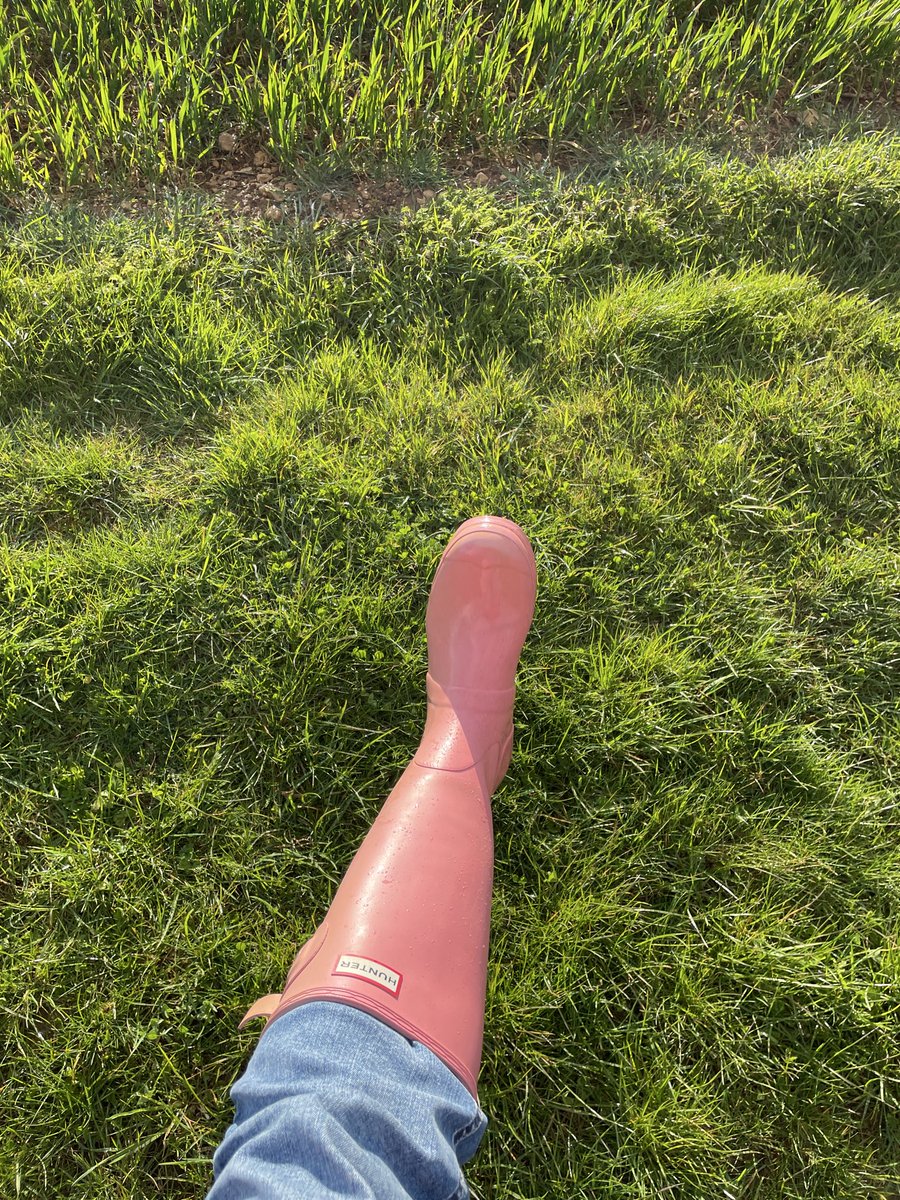 pikewilliam43 tweet media