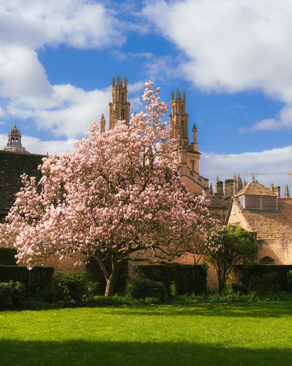 UniofOxford's tweet photo. Spring at Queen's College 🌸

📷 Instagram | UmairAtOxford (March, 2026) https://t.co/cFX4ZHnkzh