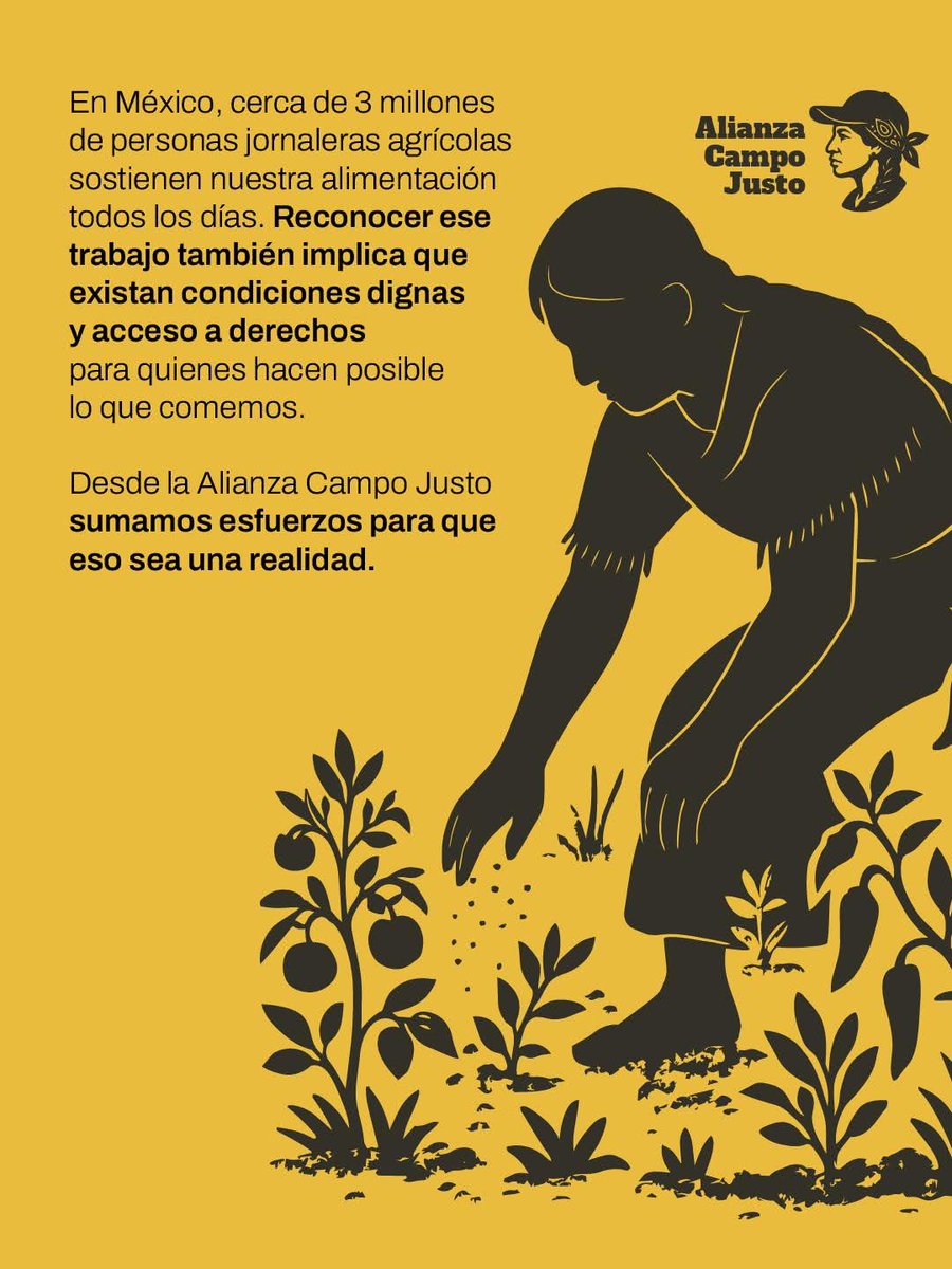 Red Nacional de Jornaleros y Jornaleras Agrícolas tweet media