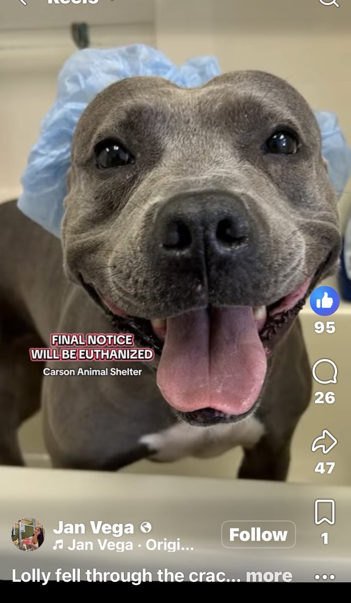 Fionaismybitch tweet media