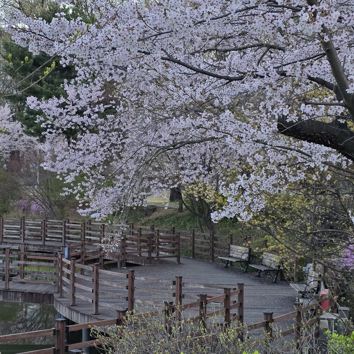 한미소 tweet media