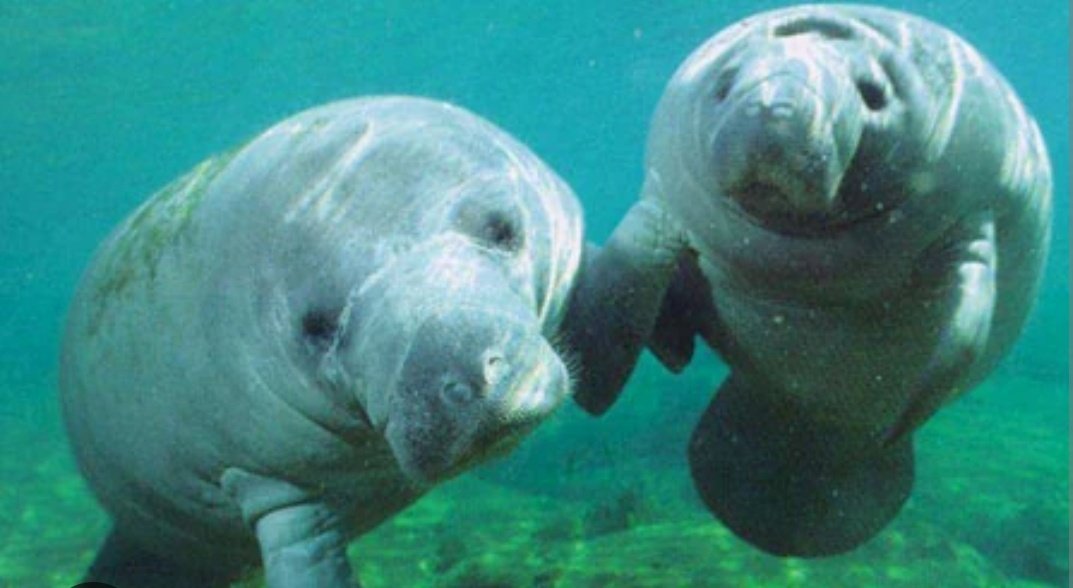 Nine🌸 tweet media