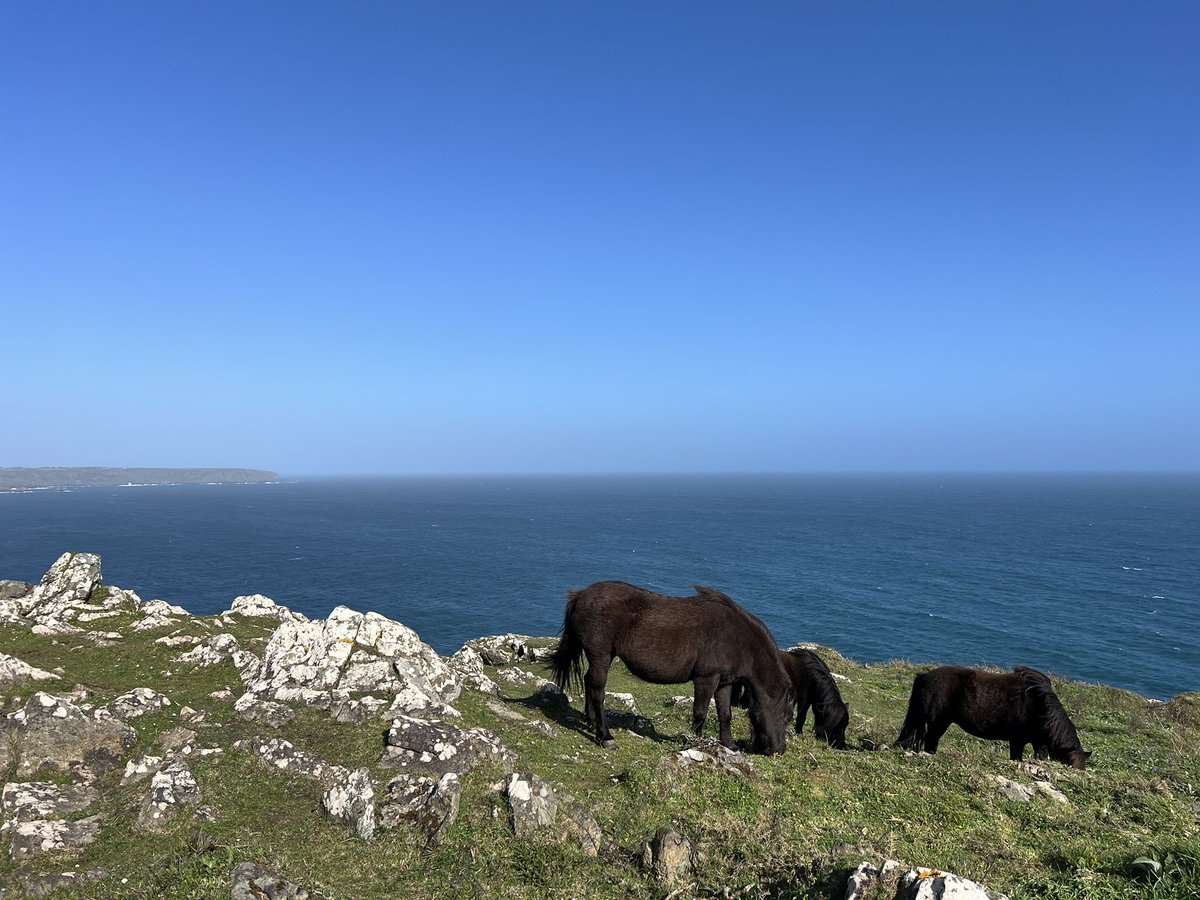 RPUffendell's tweet image. Our traditional family hike to Cadgwith today. Lucked out with the weather. A lovely spot for lunch. An awesome day all round - very fortunate #familytime #recharge #reconnect