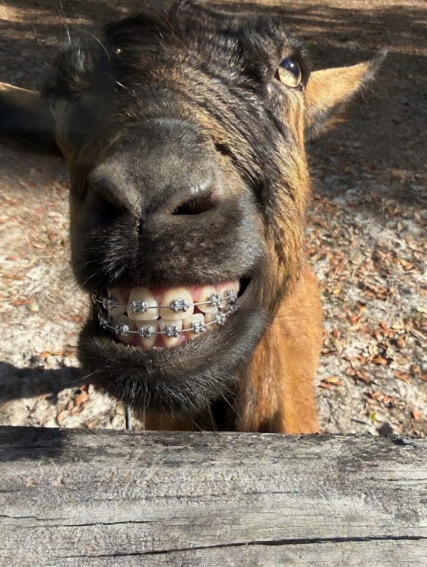 Smile, it makes the world a better place!! 😁