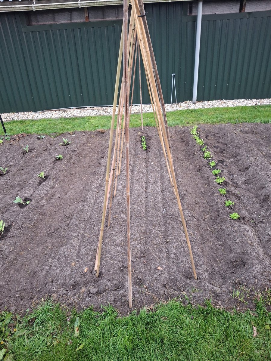 Heleen Holtmanns tweet media