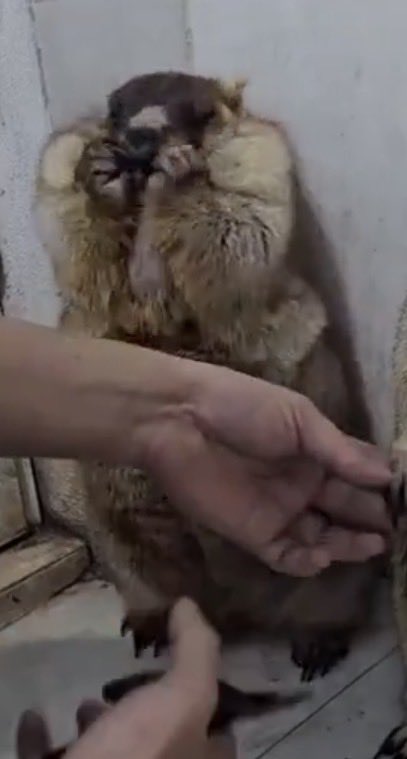 -✾λƦØmٍّّْ̲̅λ✾- tweet media