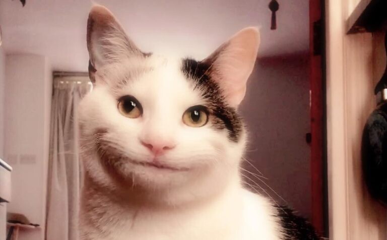 Andrei Apanasik (🐱, 🔪,геймдев и игры) tweet media