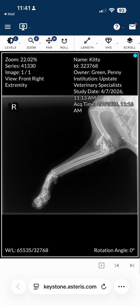 BIG ORANGE MIRACLE tweet media
