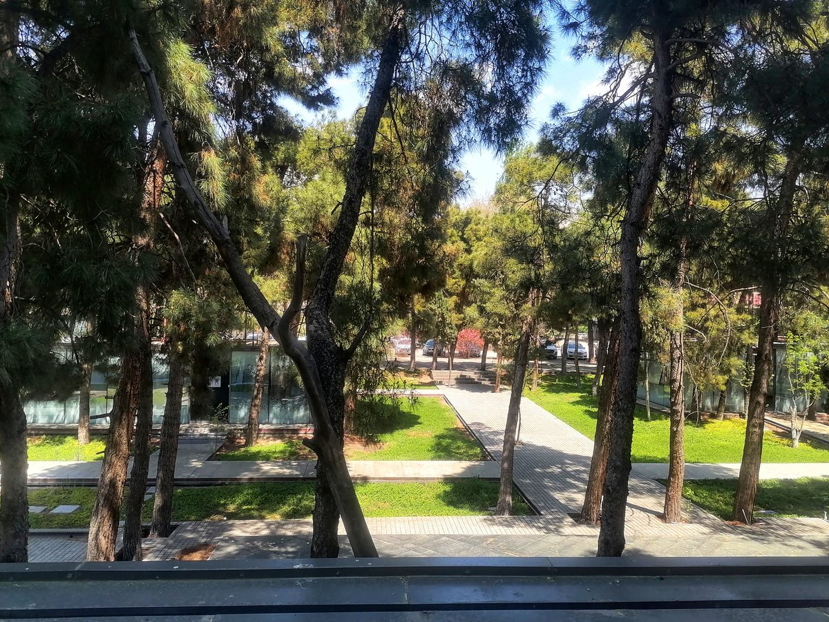 ‌Saeed tweet media