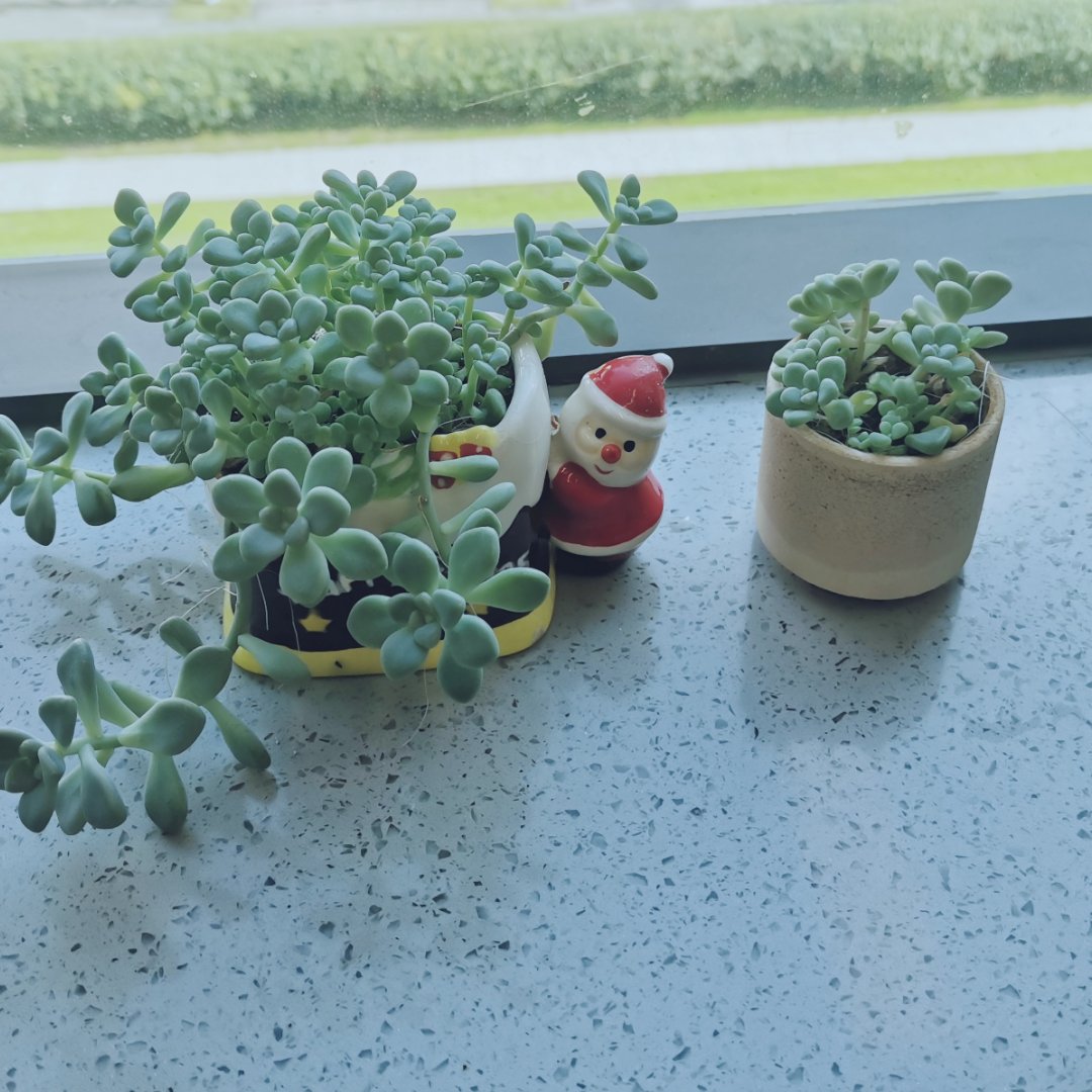 CrazyDezi tweet media