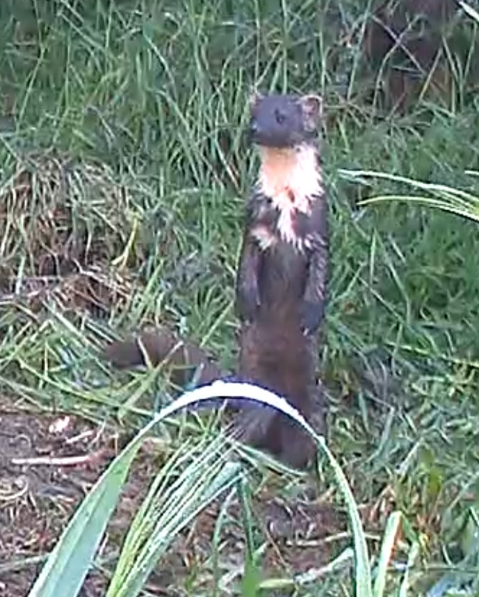 Giordano Gasperoni 🎒sivax terrasferista tweet media