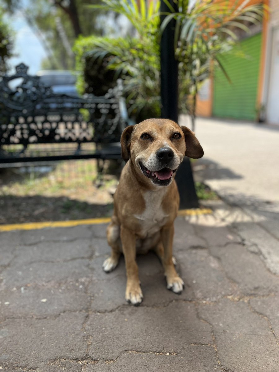 𝙷𝚎𝚕𝚊 𝙼𝚘𝚛𝚎 🐶 tweet media