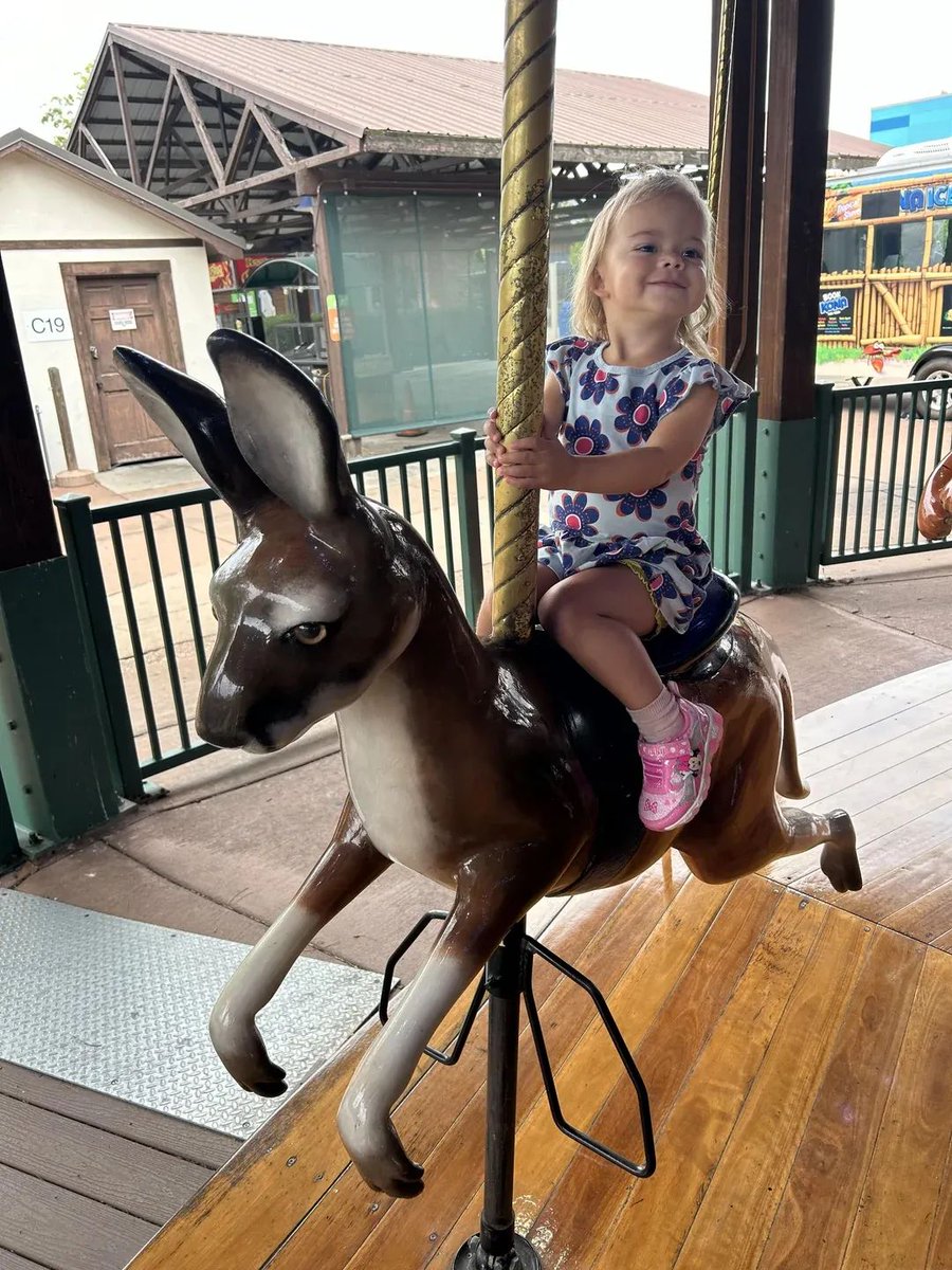 The Husky tweet media