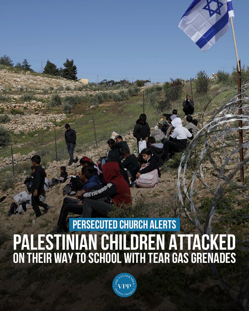 The Vulnerable People Project tweet media