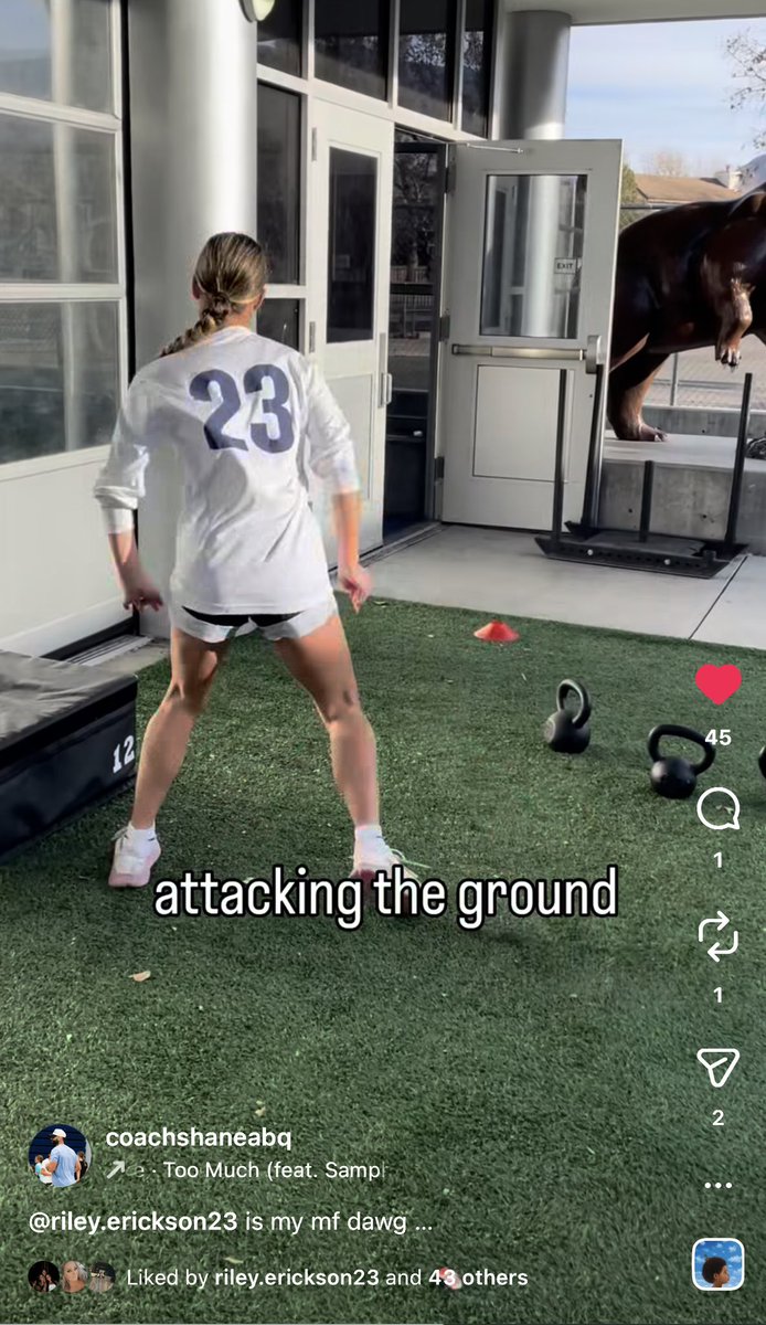 Riley Erickson tweet media