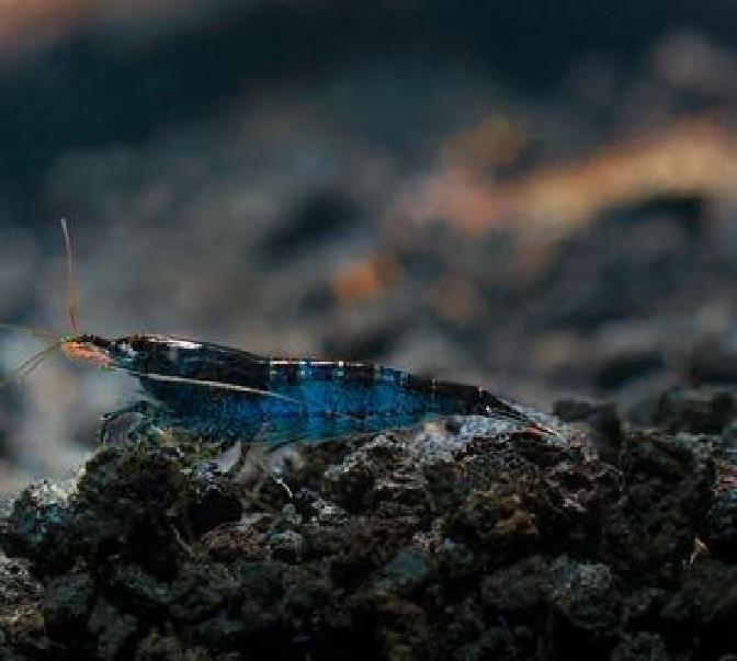 Cem Boydas tweet media