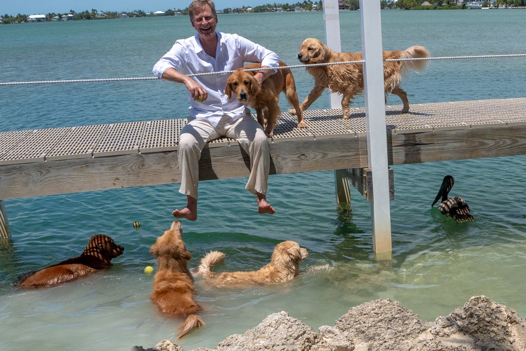 The Golden Ratio tweet media