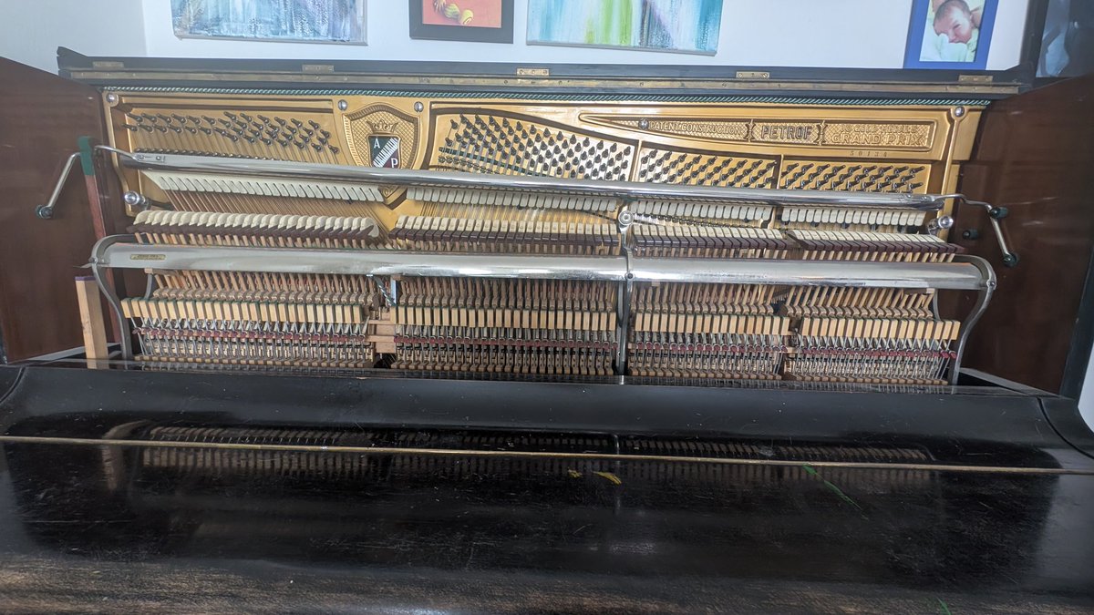 Hodina Syrael tweet media