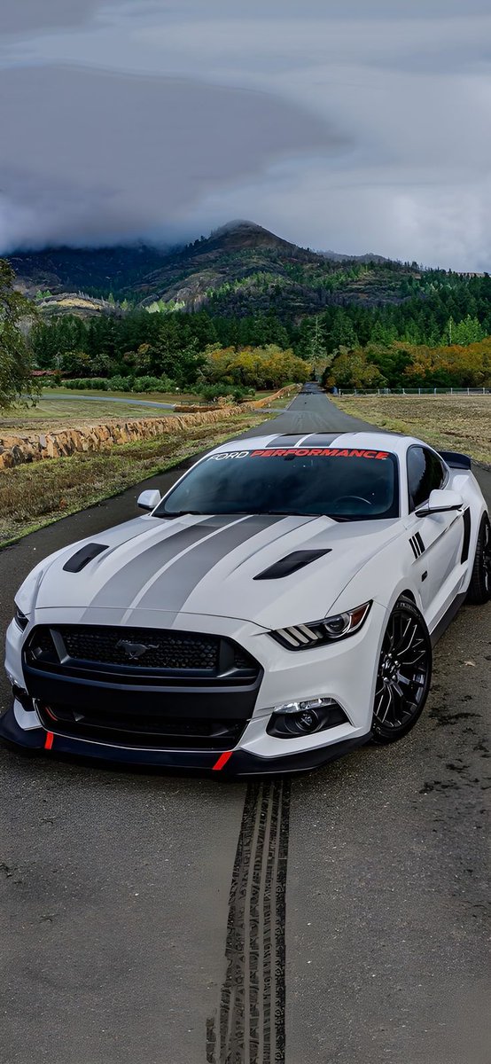 lynxchizzy's tweet image. New wallpaper 
#Mustang #Ford