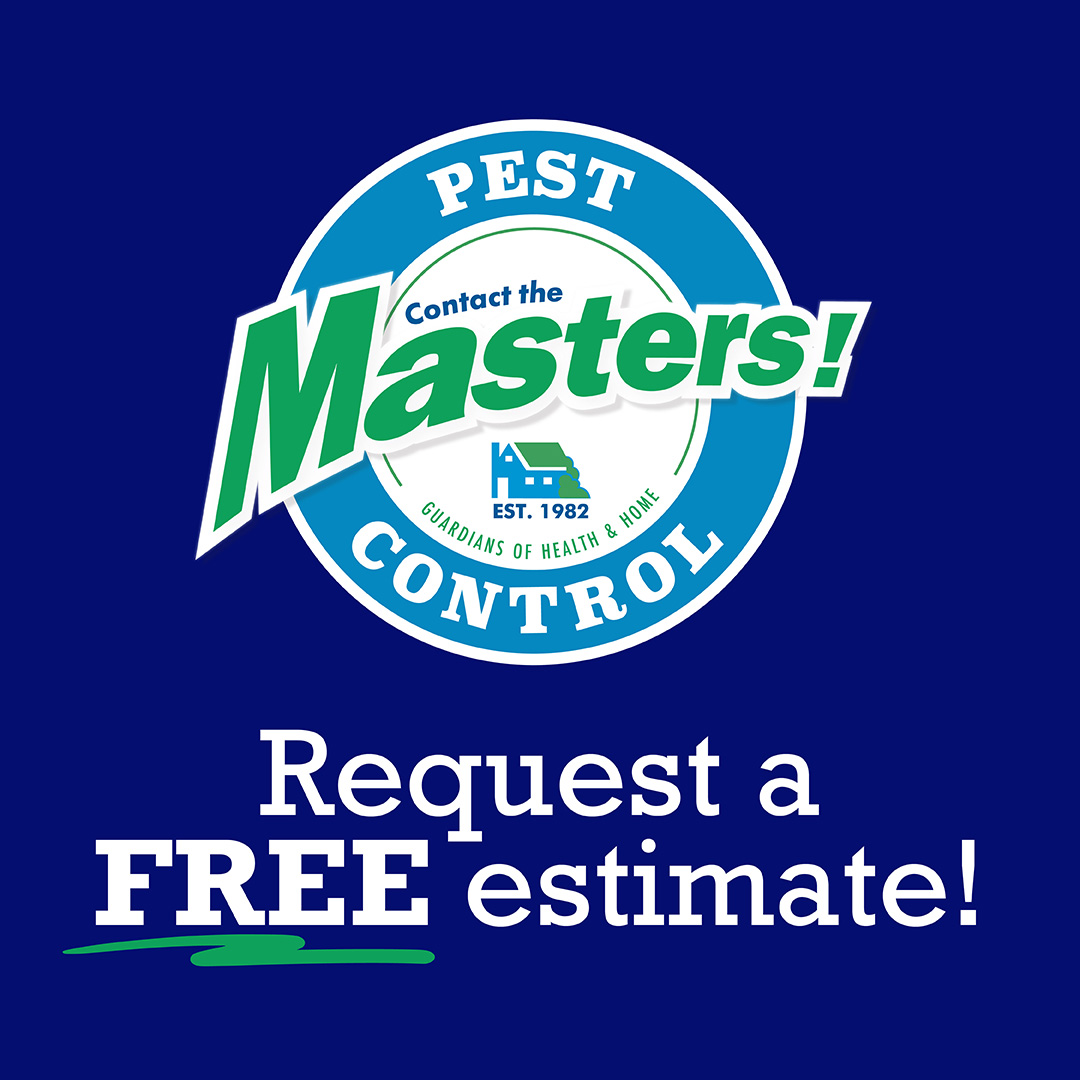 Masters Pest Control tweet media