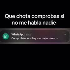 Si te sigo eres furry y gay tweet media