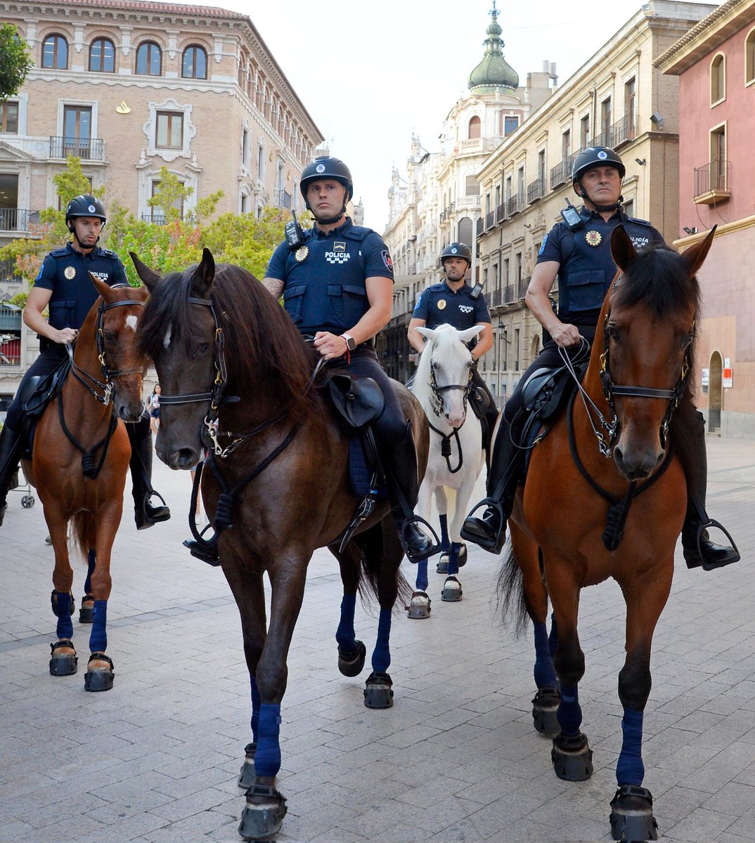 🟢🔴 La pinza VOX-PSOE vuelve a actuar, en esta ocasión es para atacar a la Unidad de Caballería.

Mientras ellos atacan a nuestros policías. Nosotros nos preocupamos por la seguridad de Murcia y los murcianos.