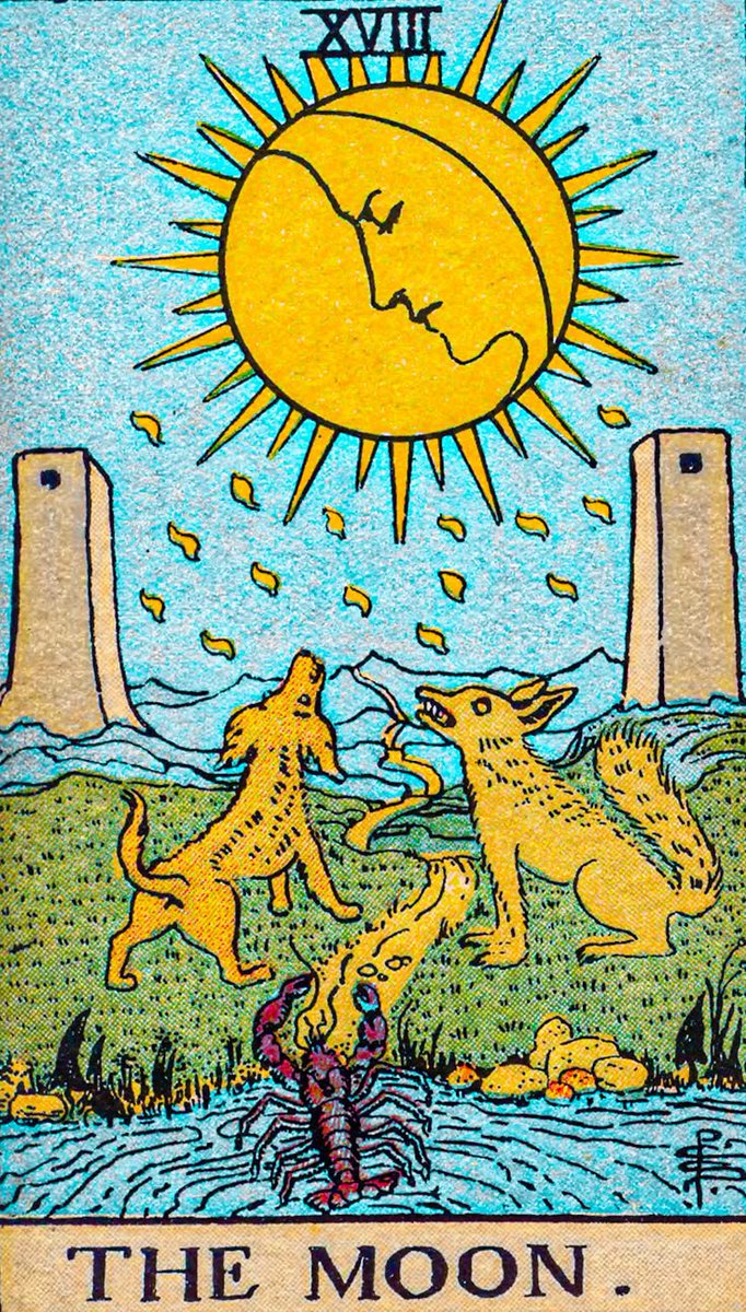 Sunset 🌟 cartomancia tweet media