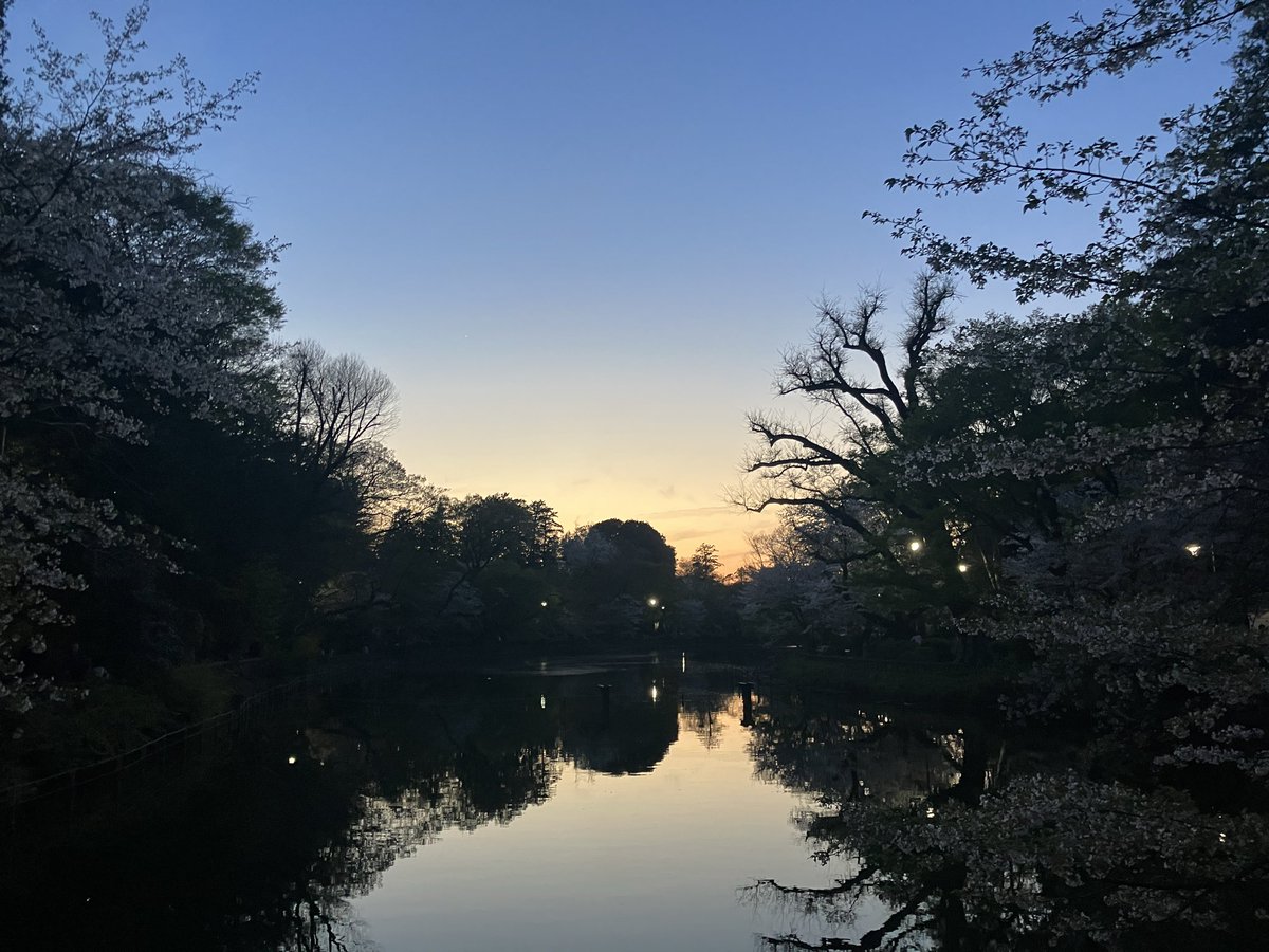 古城康行 tweet media