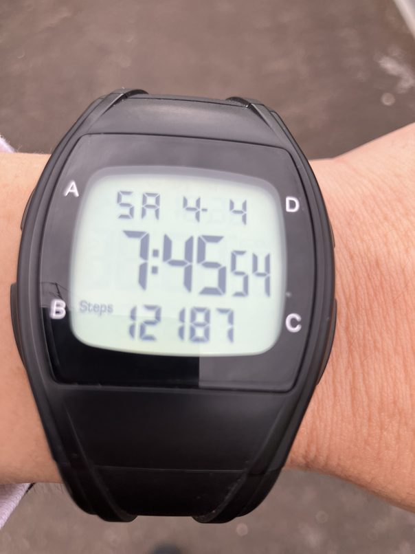 三食のりたま🐻💿Vが好き tweet media