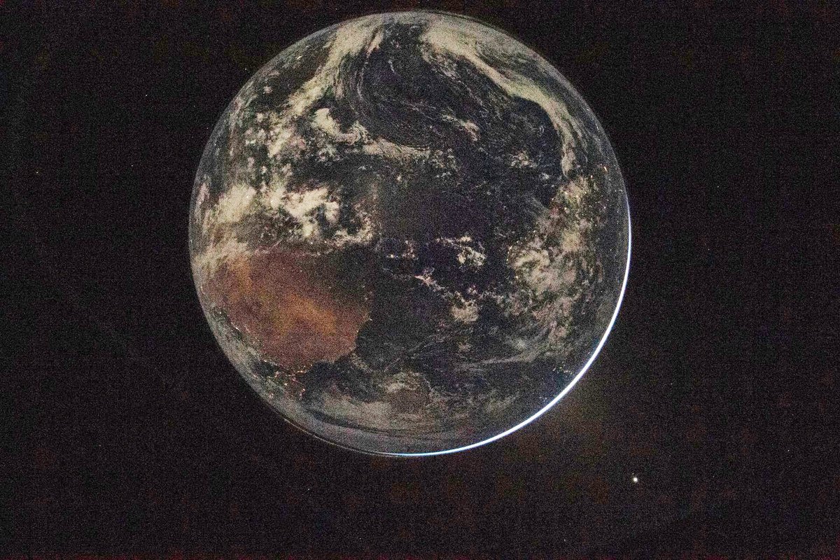 Wingless Carbon Based Lifeform tweet media