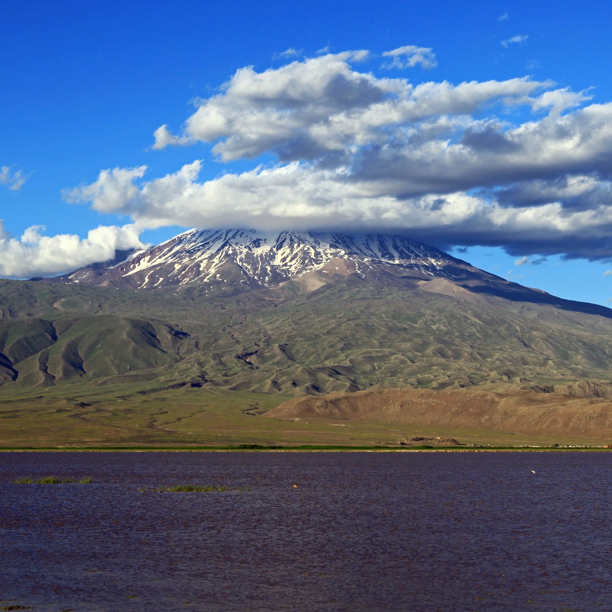 yasarosun04's tweet image. İnsanlığın dünyaya yayıldığı kent AĞRI

Güneşin doğduğu soğuk kentin sıcak insanlarına selam olsun... 

Bin yıllık kardeşlik hissiyatının pekiştiği, muhabbetin ve dostluğun şehri #Ağrı'mızın günü kutlu olsun 

04.04 #DünyaAğrılılarGünü
#Cumartesi