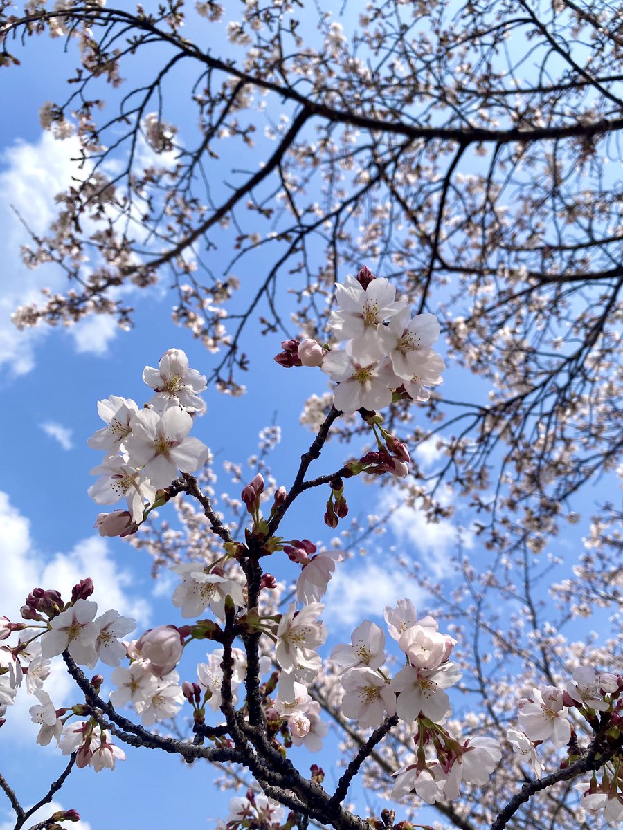 みんたろ tweet media