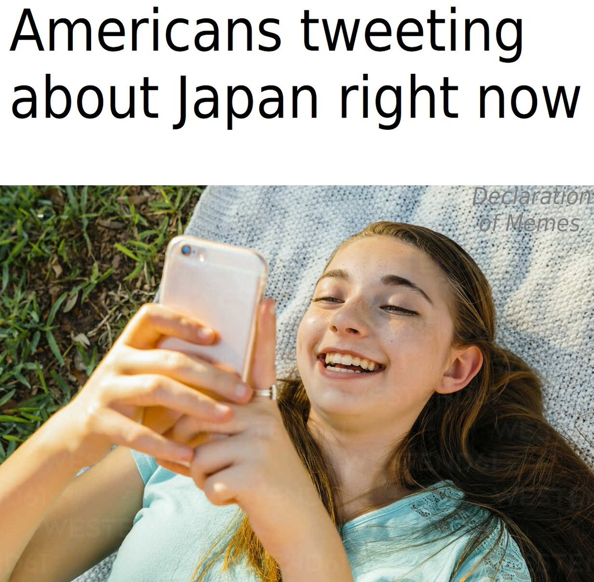 Declaration of Memes tweet media