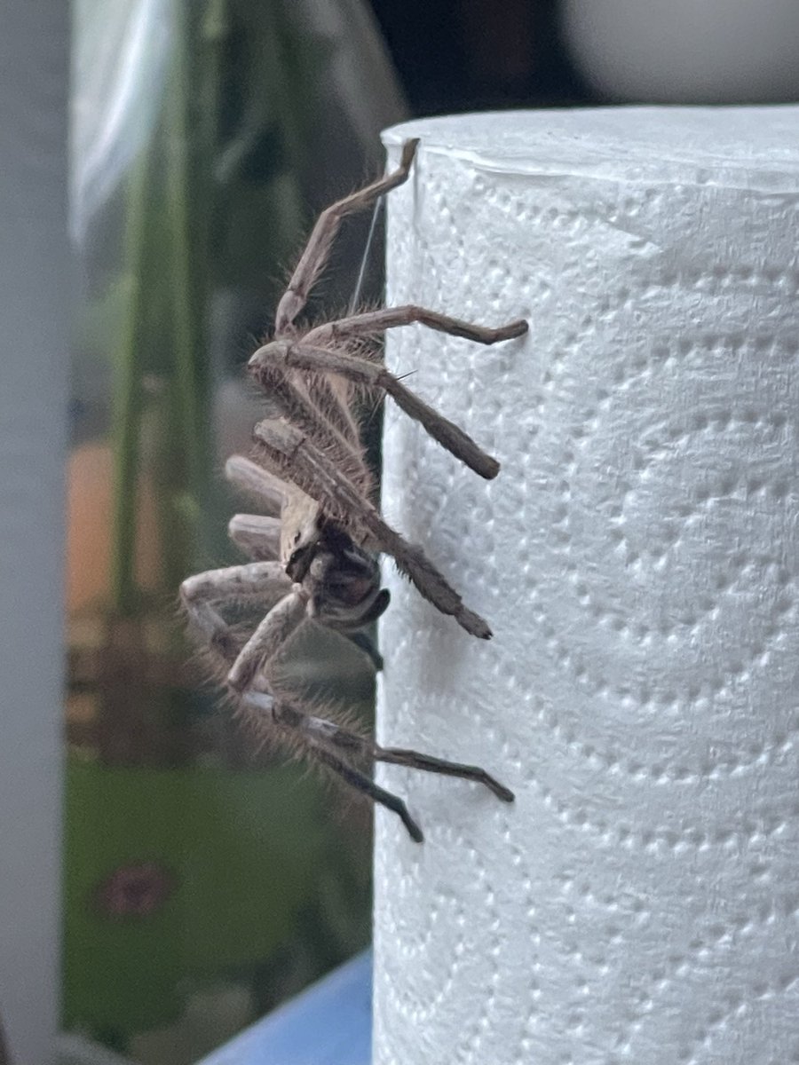 Wazza from Melbourne tweet media