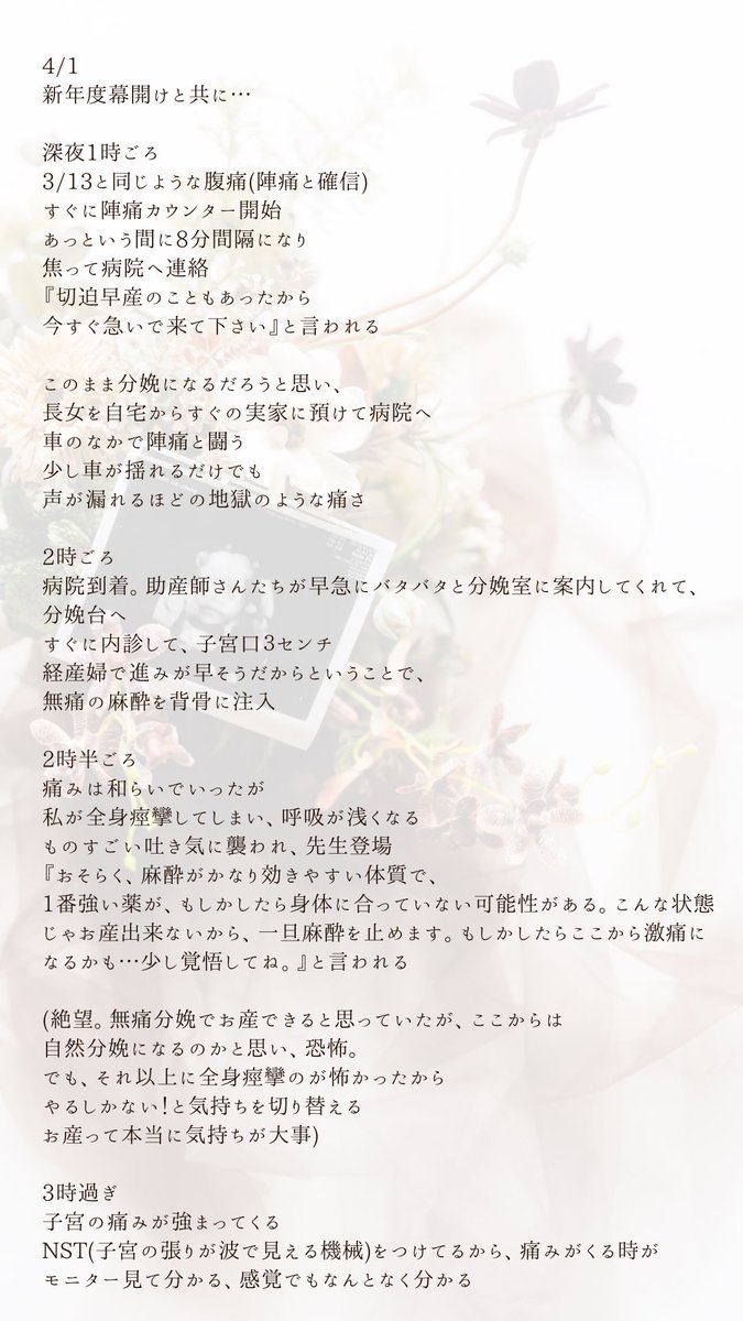mii | webデザイナー | SNS発信講師 tweet media