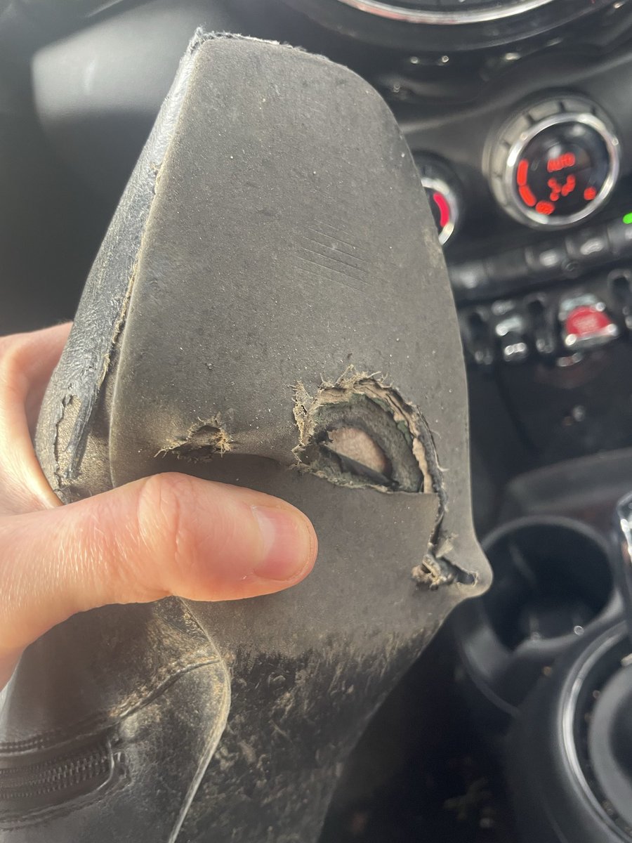 Emily Kopp tweet media