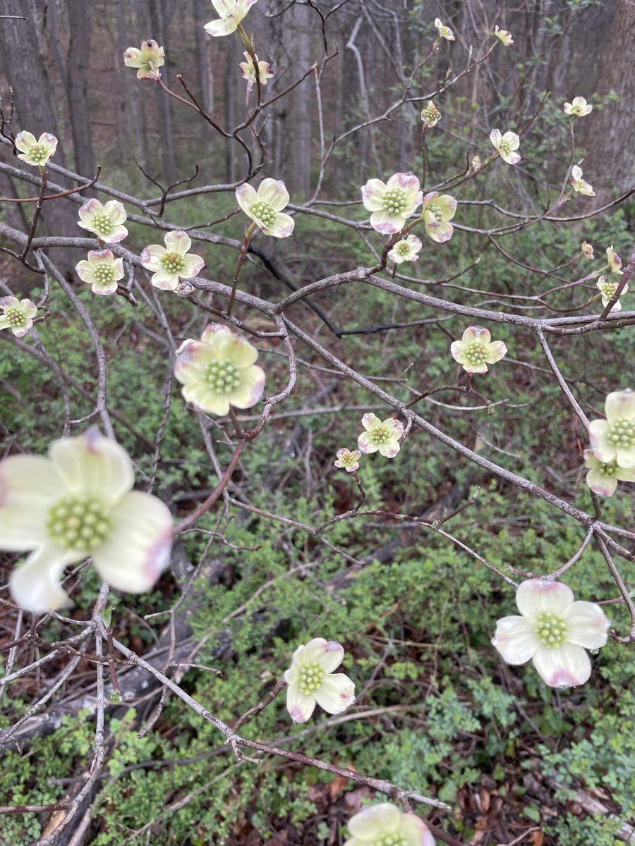 Emily Kopp tweet media