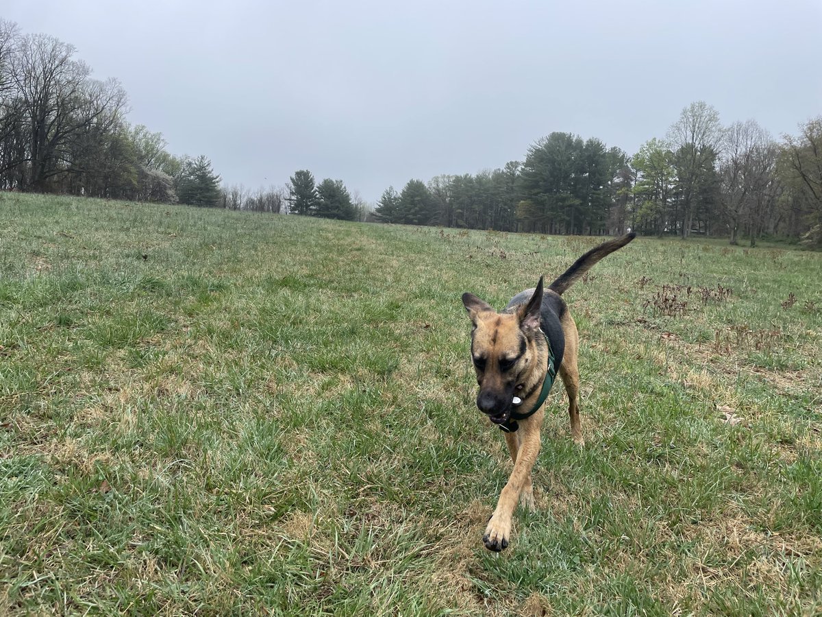 Emily Kopp tweet media