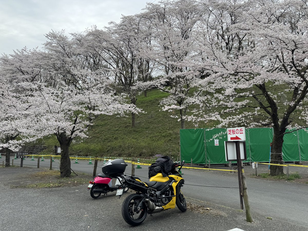 ばっちー@GSXS1000GT tweet media