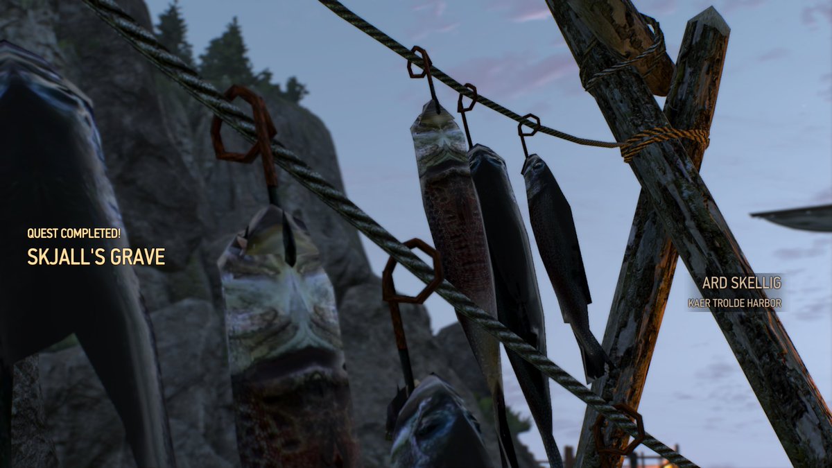 - (@sofiajhasan) on Twitter photo 