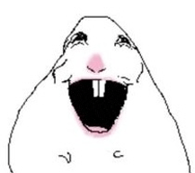 sae 🍰 tweet media