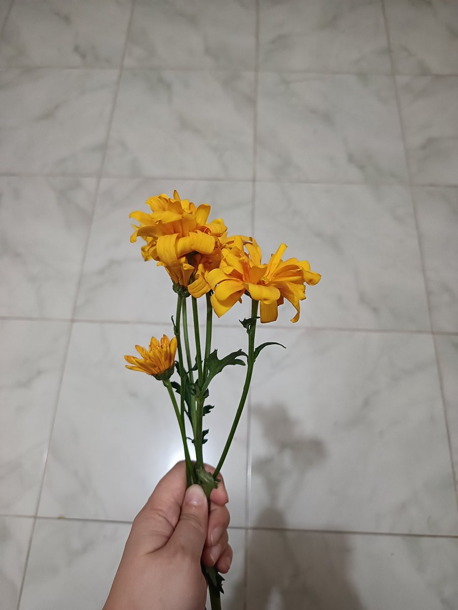 ᵐᵃʲᵒʳ tweet media