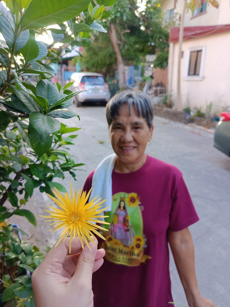 ᵐᵃʲᵒʳ tweet media